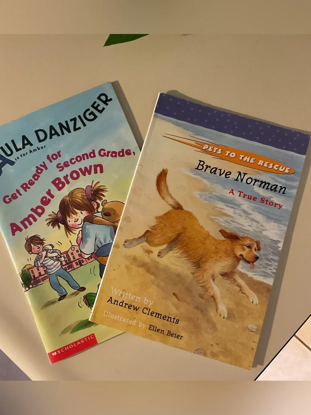 Brave Norman & Get Ready for Second Grade Kids Picture Reader Books 📚